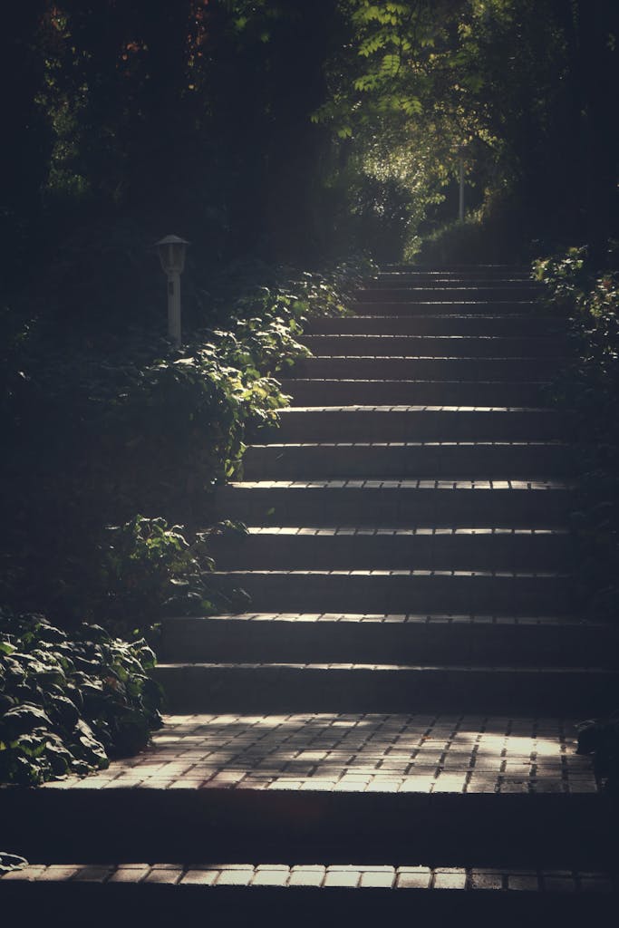 Brick steps surrounded by lush plants leading through a sunlit forest path.